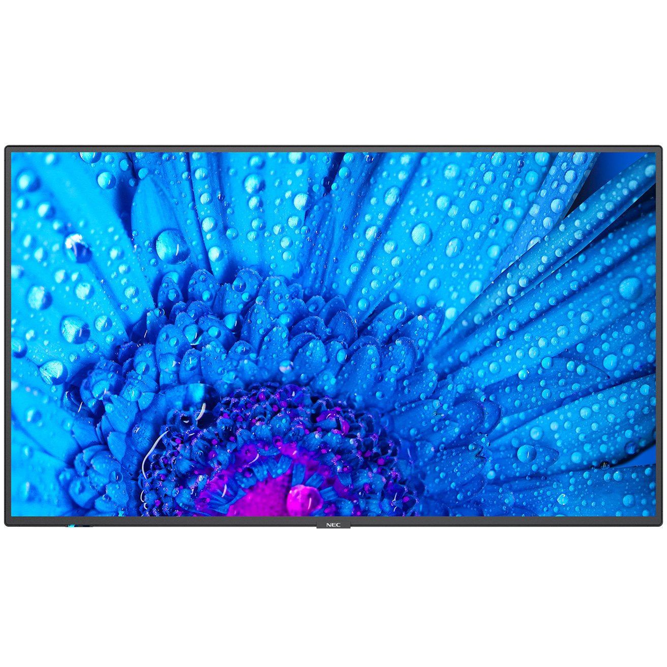 NEC MultiSync® M751 LCD 75" Message Large Format Display