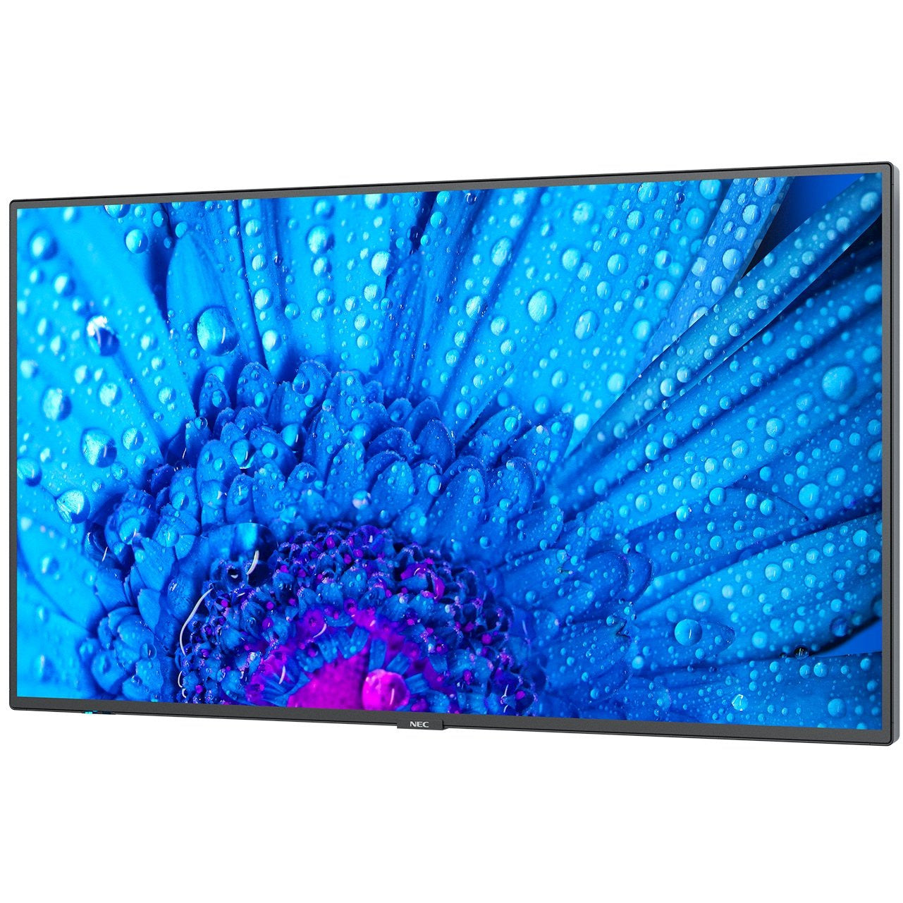 NEC MultiSync® M551 LCD 55