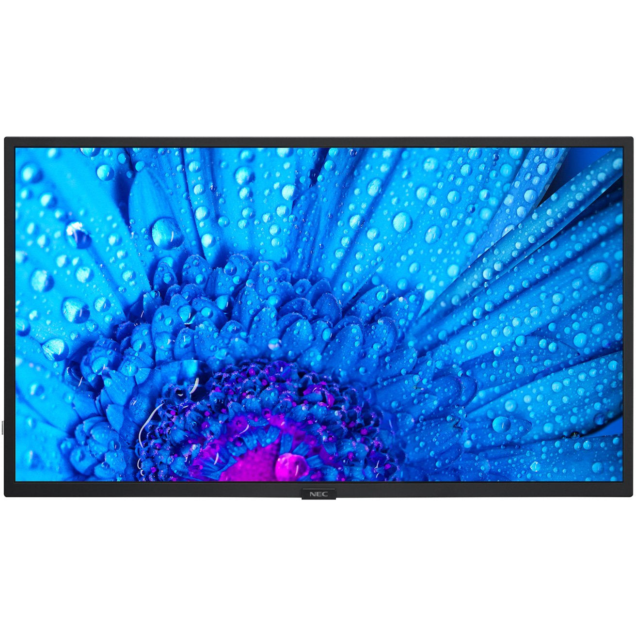 NEC MultiSync® M321 LCD 32